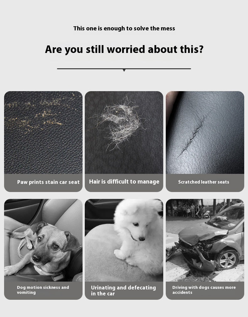 Dog Safety Seat "Buddys Seat™"